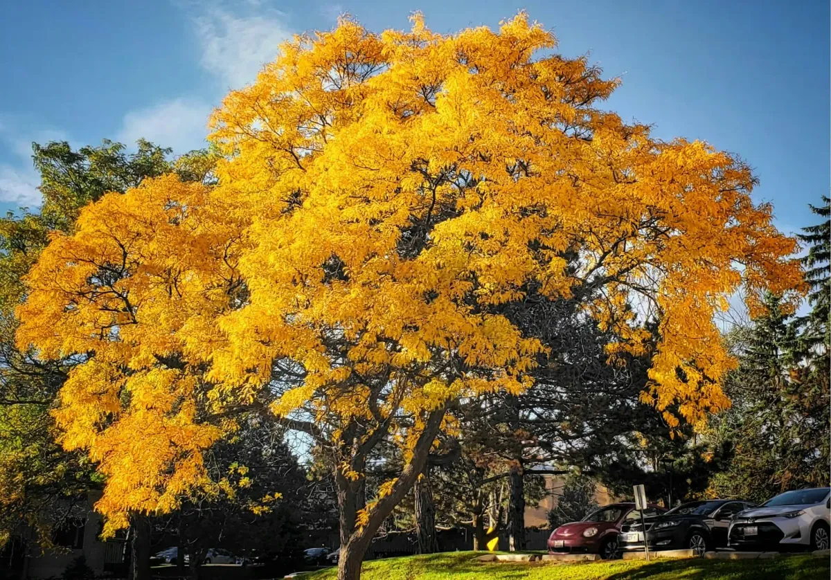 Barrie Real Estate Investing Guide: Golden Horseshoe Opportunities