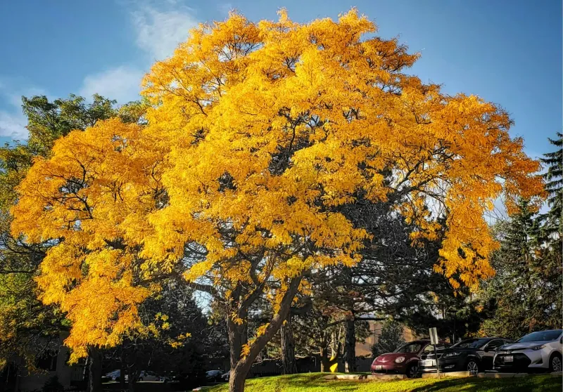 Barrie Real Estate Investing Guide: Golden Horseshoe Opportunities