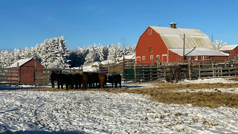 How to Get a Mortgage on Agricultural Zoned Property