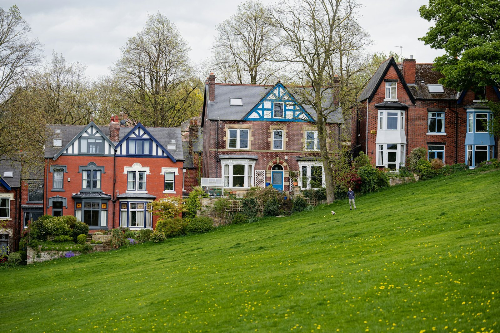 Victorian houses on a grassy hill.
