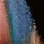 how a tinder like app helps investors find analyze and close better properties